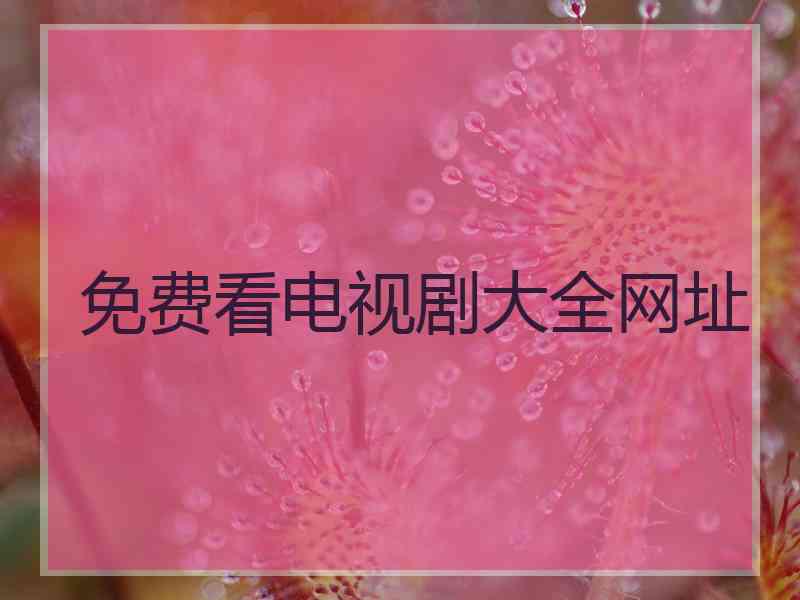免费看电视剧大全网址