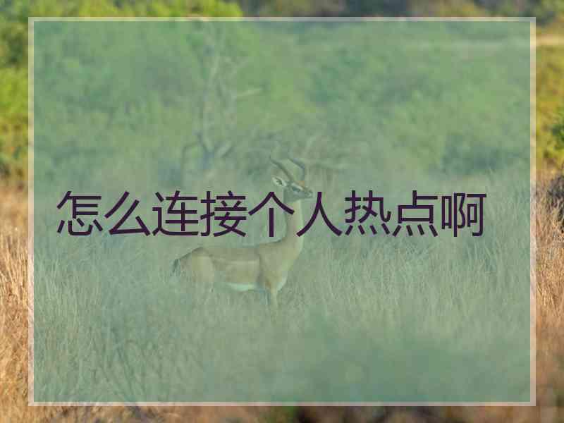 怎么连接个人热点啊