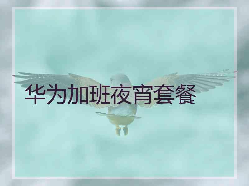 华为加班夜宵套餐