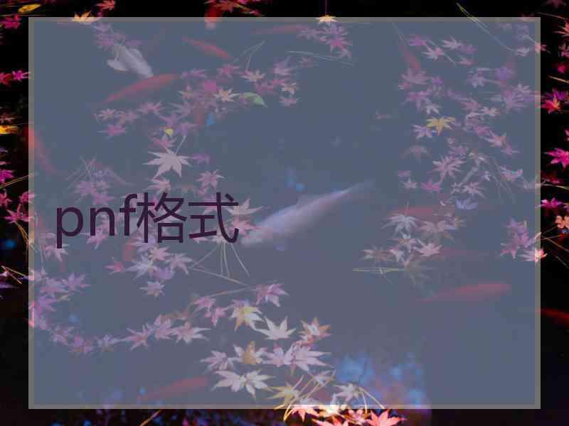 pnf格式