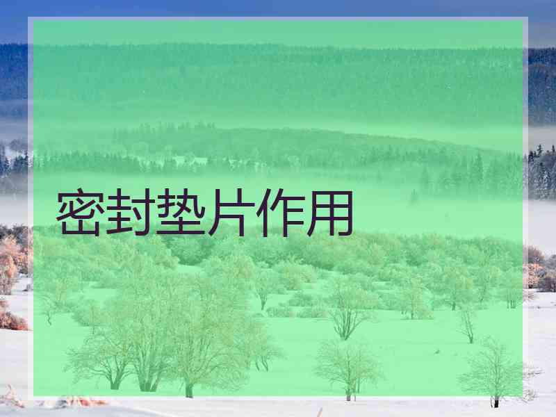密封垫片作用