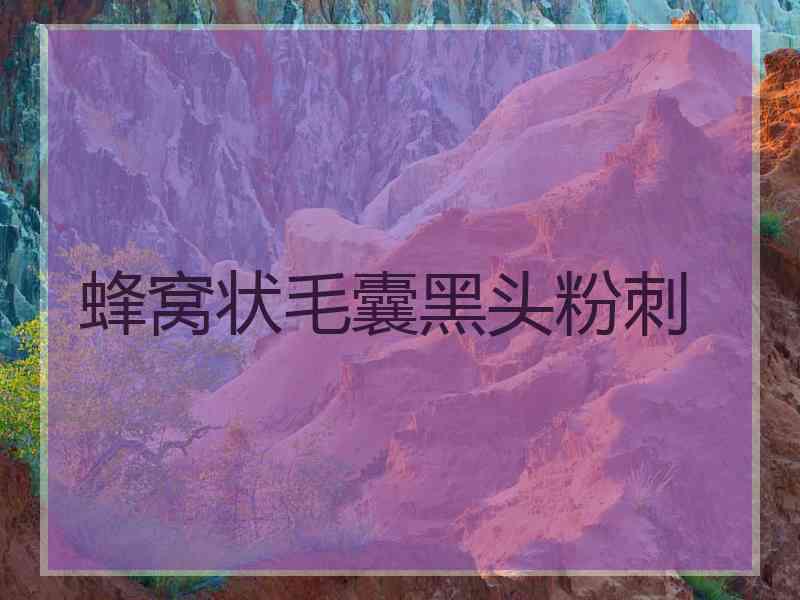 蜂窝状毛囊黑头粉刺