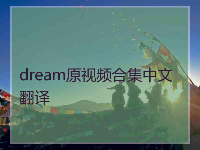dream原视频合集中文翻译