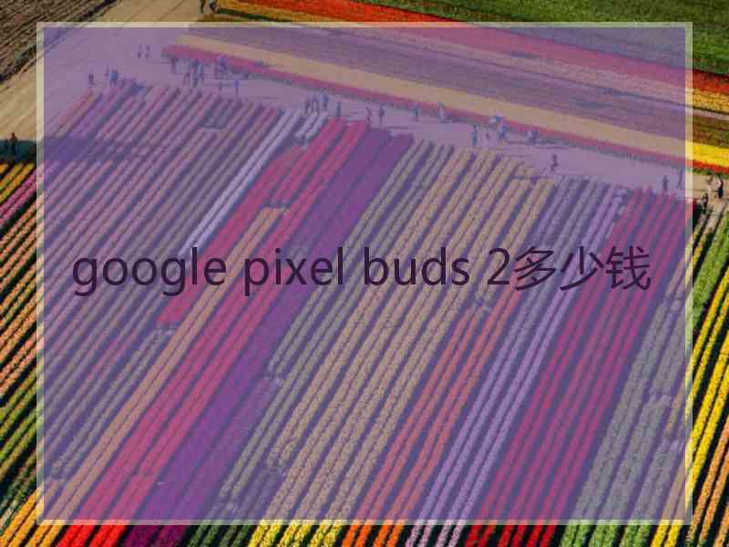 google pixel buds 2多少钱