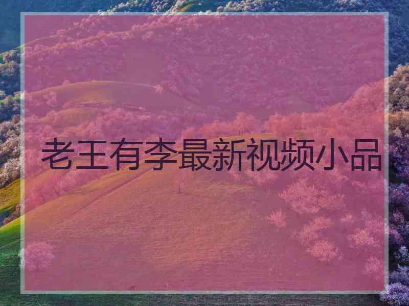 老王有李最新视频小品