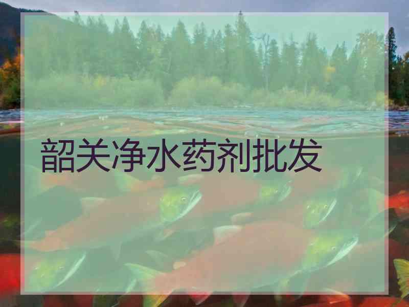 韶关净水药剂批发