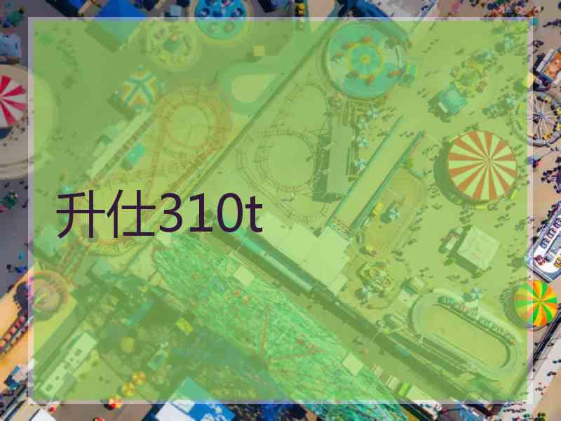 升仕310t