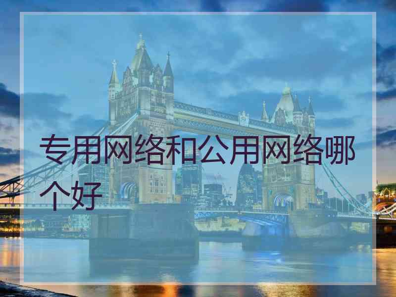 专用网络和公用网络哪个好