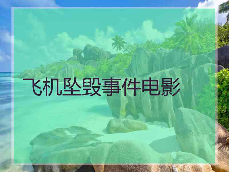 飞机坠毁事件电影