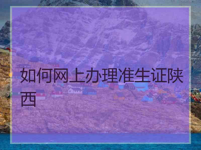 如何网上办理准生证陕西