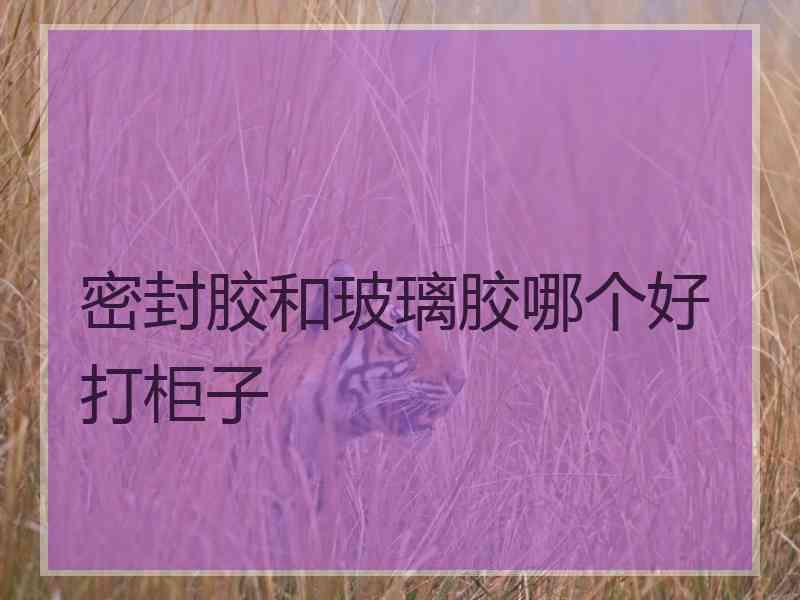 密封胶和玻璃胶哪个好打柜子