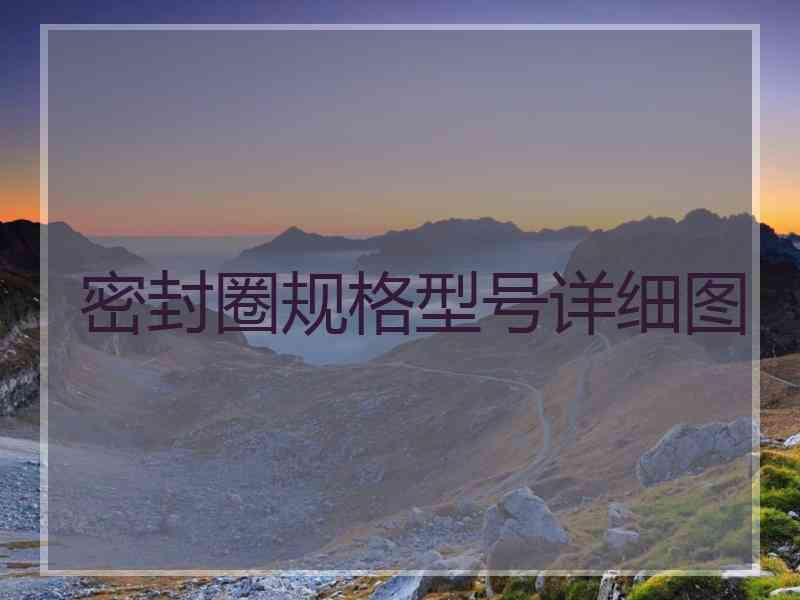 密封圈规格型号详细图