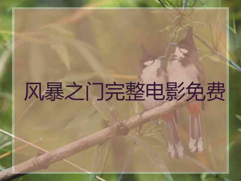 风暴之门完整电影免费