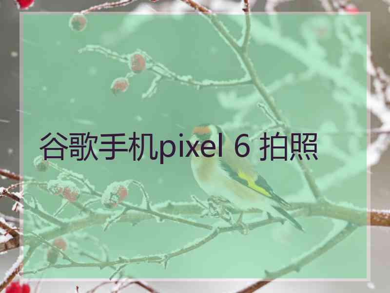 谷歌手机pixel 6 拍照