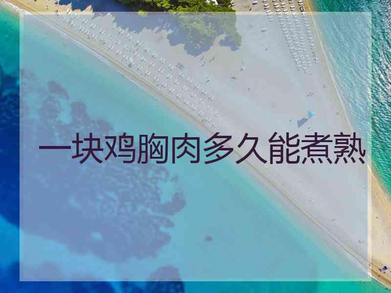 一块鸡胸肉多久能煮熟