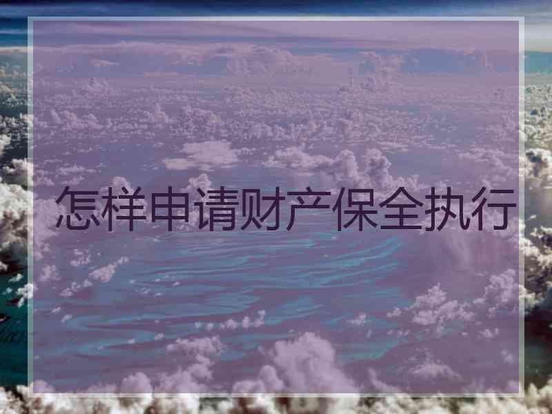 怎样申请财产保全执行