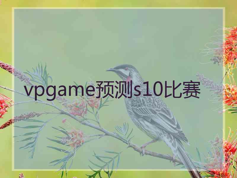 vpgame预测s10比赛