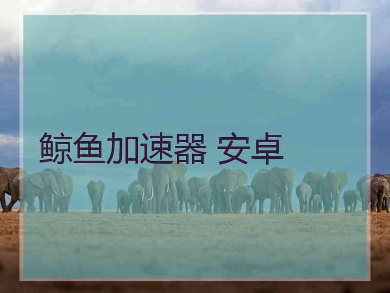 鲸鱼加速器 安卓