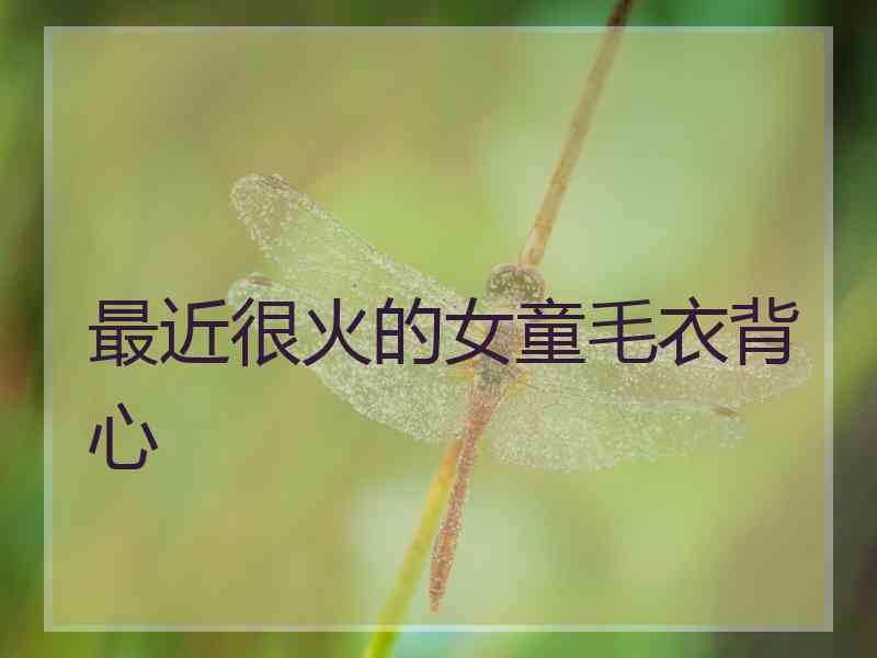 最近很火的女童毛衣背心