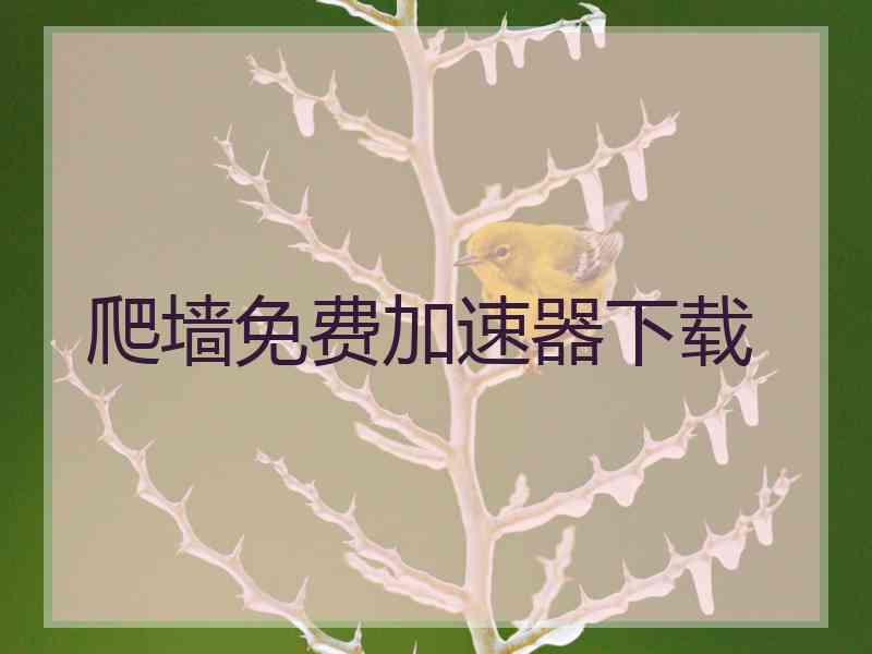 爬墙免费加速器下载