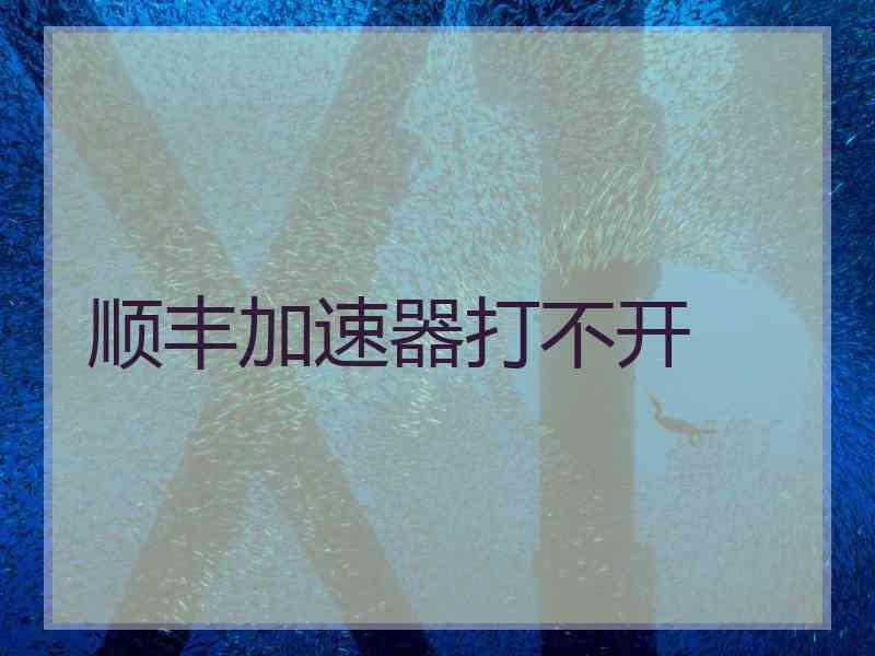 顺丰加速器打不开