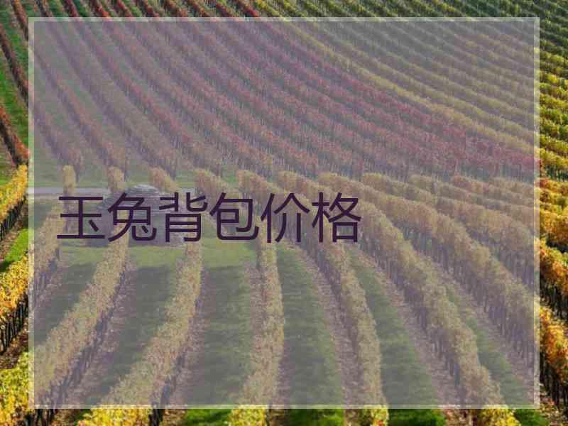 玉兔背包价格