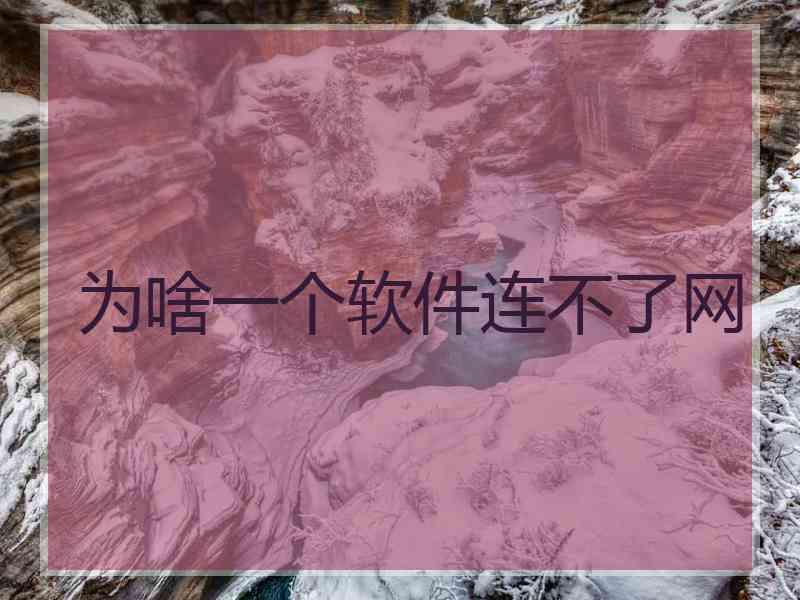 为啥一个软件连不了网