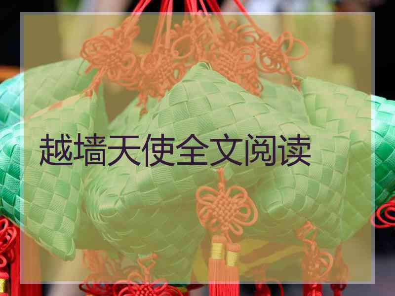 越墙天使全文阅读