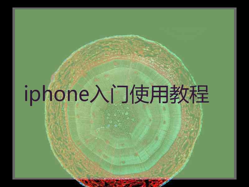 iphone入门使用教程