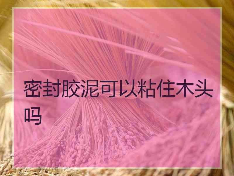 密封胶泥可以粘住木头吗
