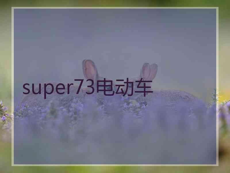 super73电动车