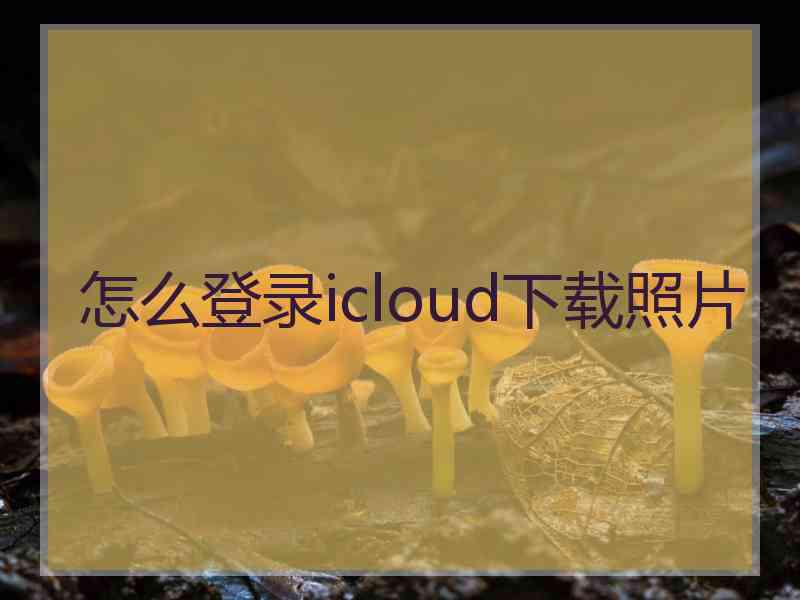 怎么登录icloud下载照片