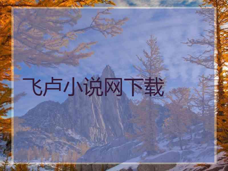 飞卢小说网下载