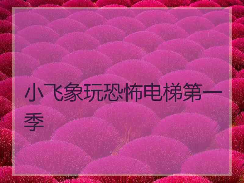 小飞象玩恐怖电梯第一季