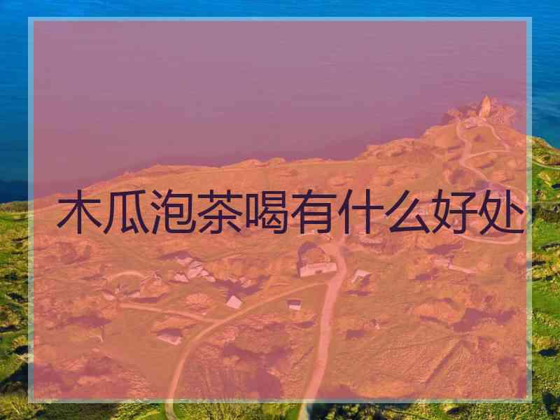 木瓜泡茶喝有什么好处