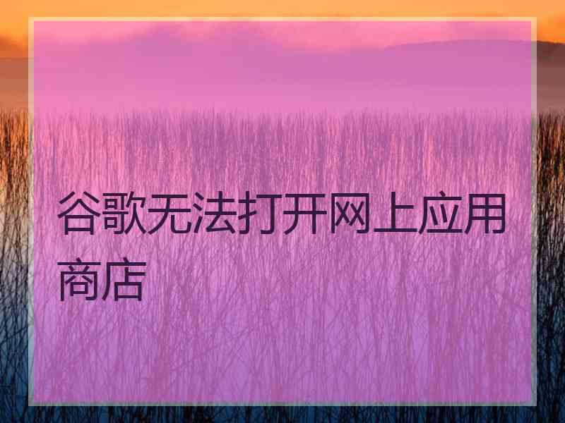 谷歌无法打开网上应用商店