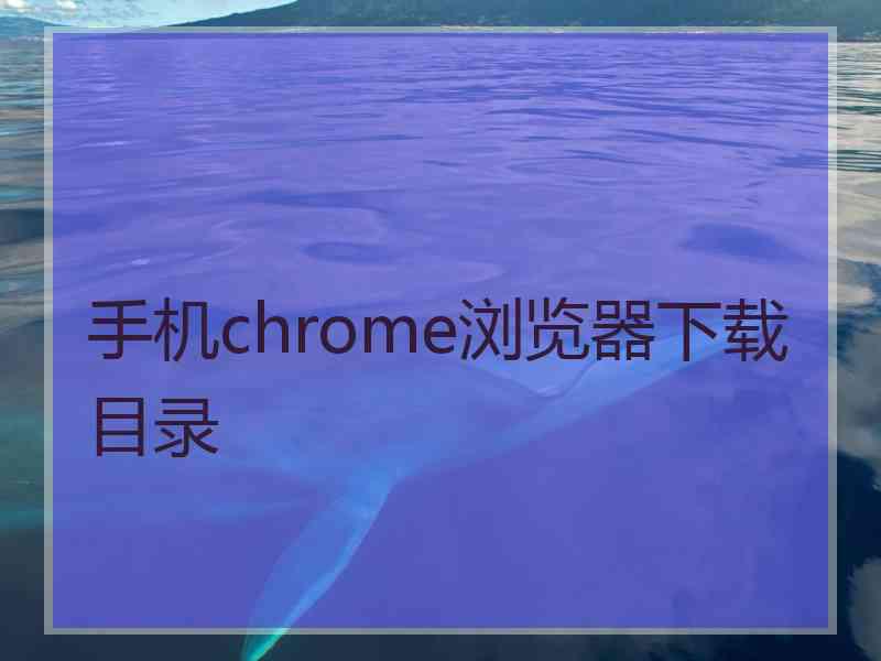 手机chrome浏览器下载目录