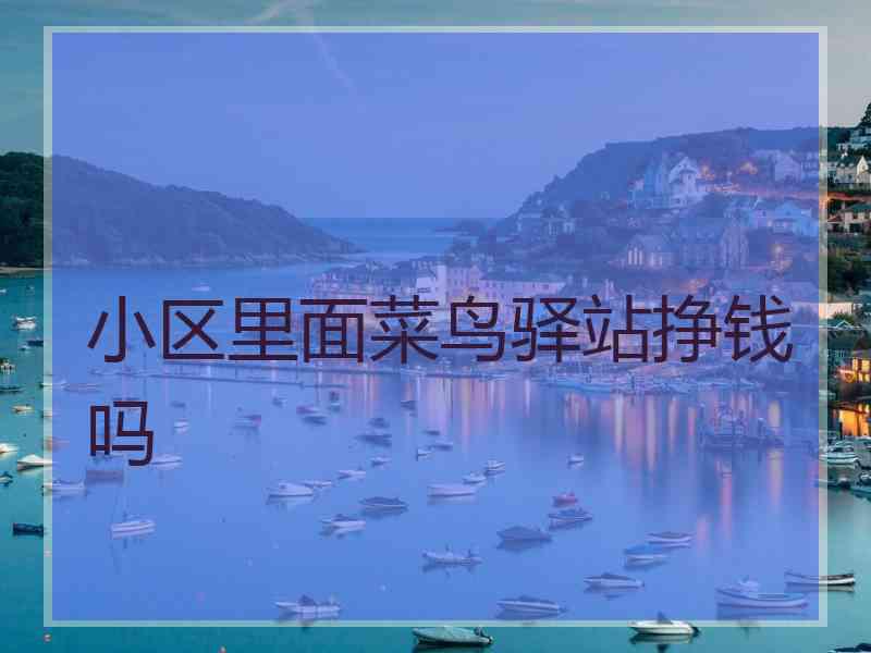 小区里面菜鸟驿站挣钱吗