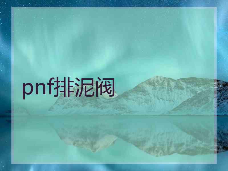 pnf排泥阀