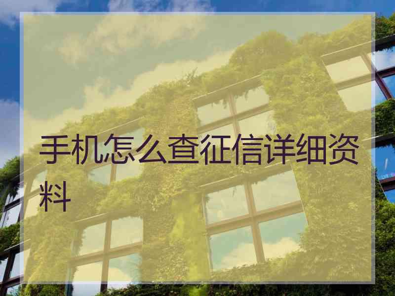 手机怎么查征信详细资料