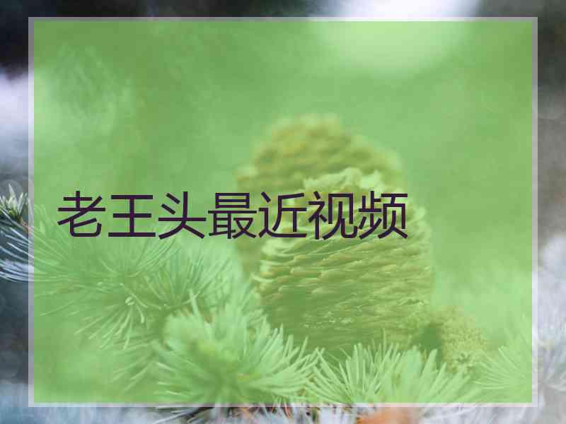 老王头最近视频