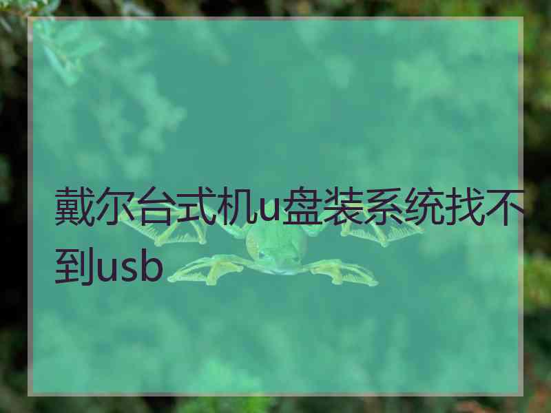 戴尔台式机u盘装系统找不到usb