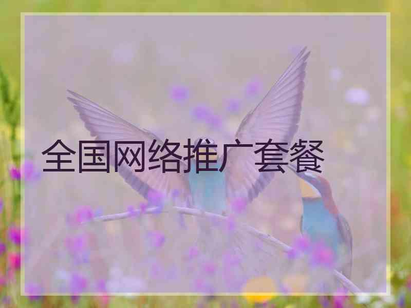 全国网络推广套餐