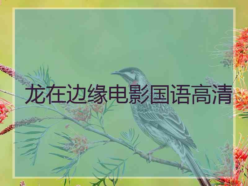 龙在边缘电影国语高清