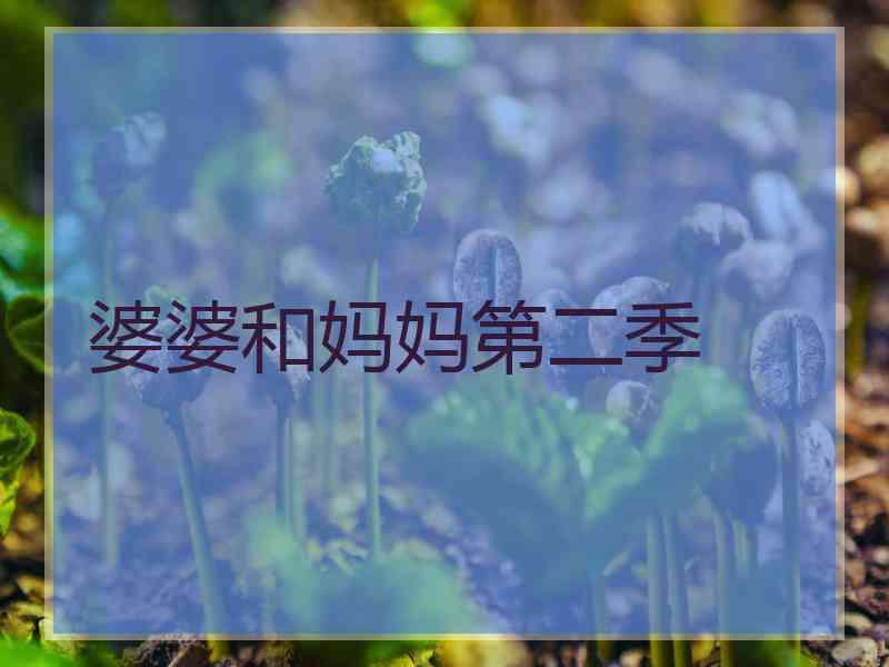 婆婆和妈妈第二季