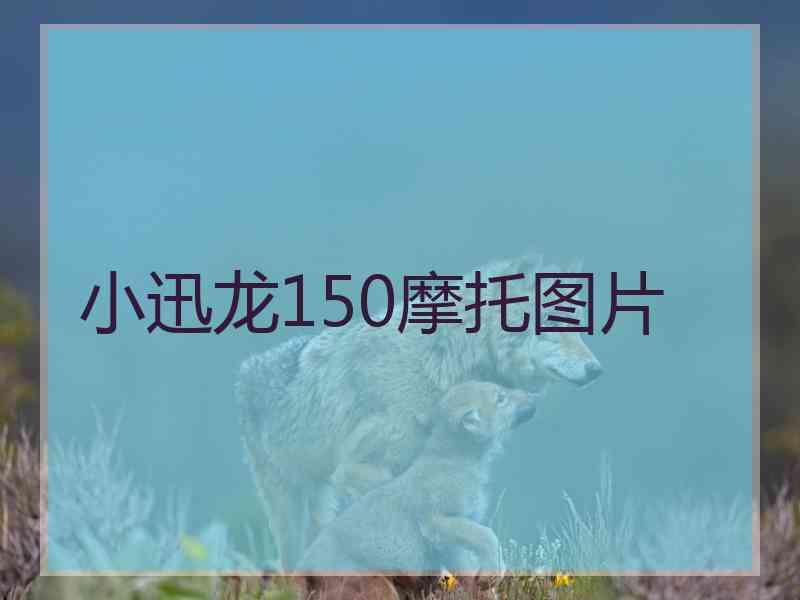 小迅龙150摩托图片