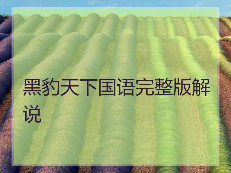 黑豹天下国语完整版解说