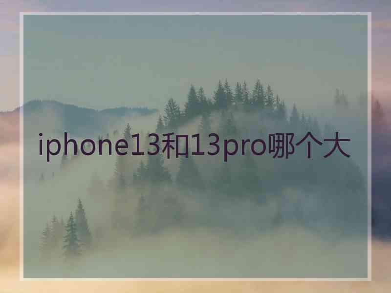 iphone13和13pro哪个大