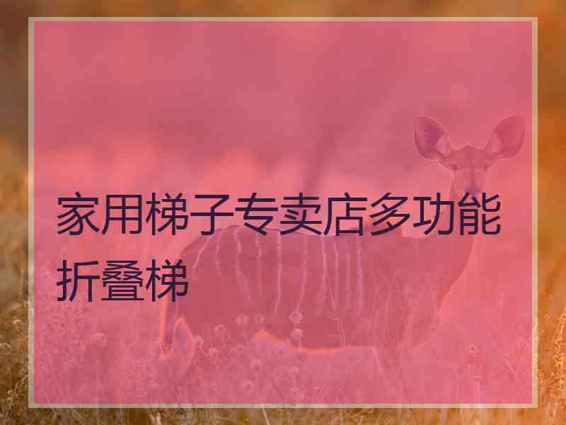 家用梯子专卖店多功能折叠梯