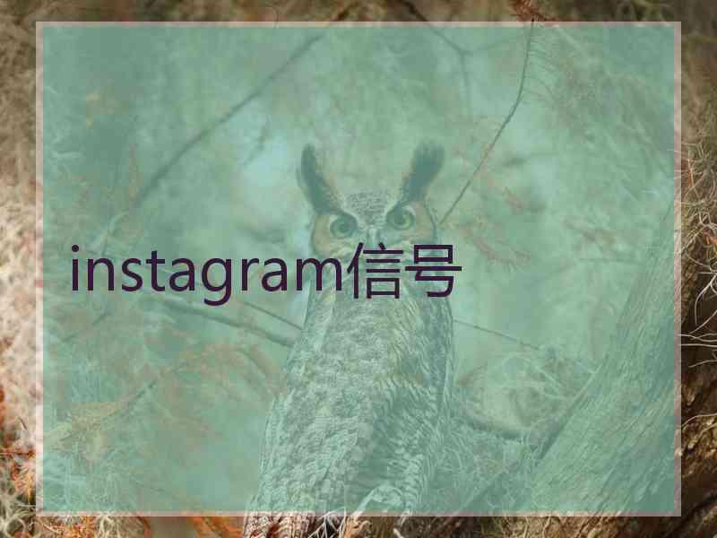 instagram信号